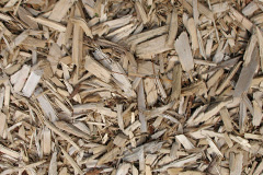 biomass boilers Bucks Horn Oak